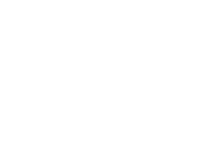 Wallace-Real-Estate-Commercial-Logo-300x214