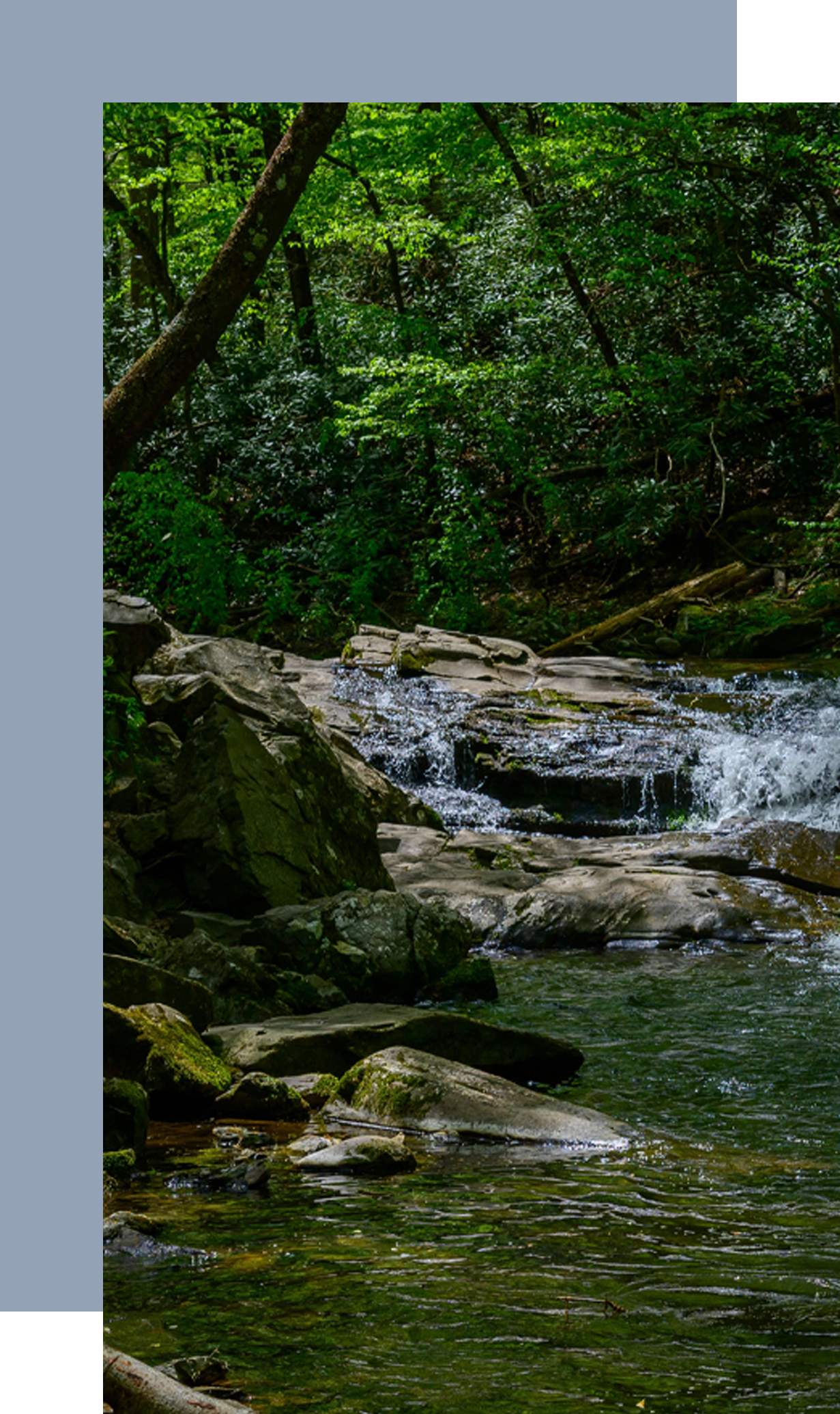 Blount-County-Tennessee-Community