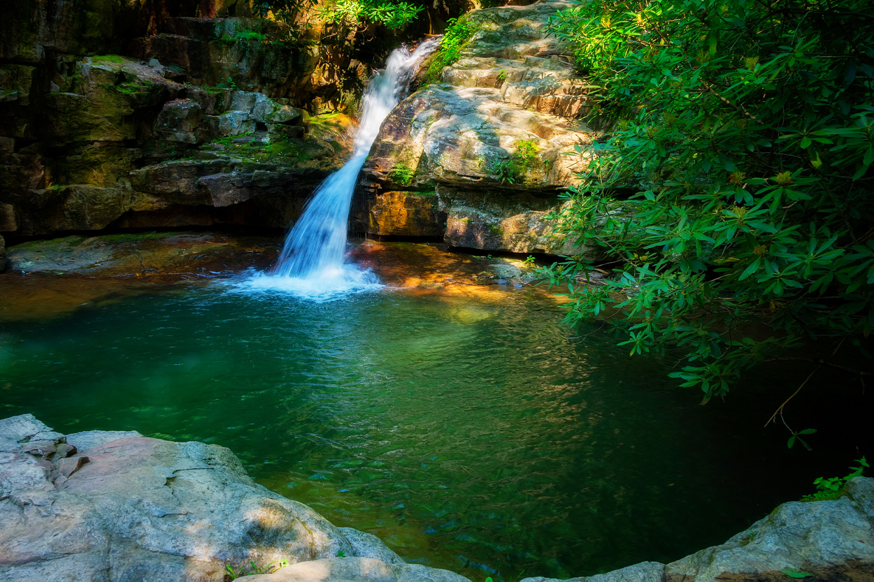 Cocke County, Tennessee