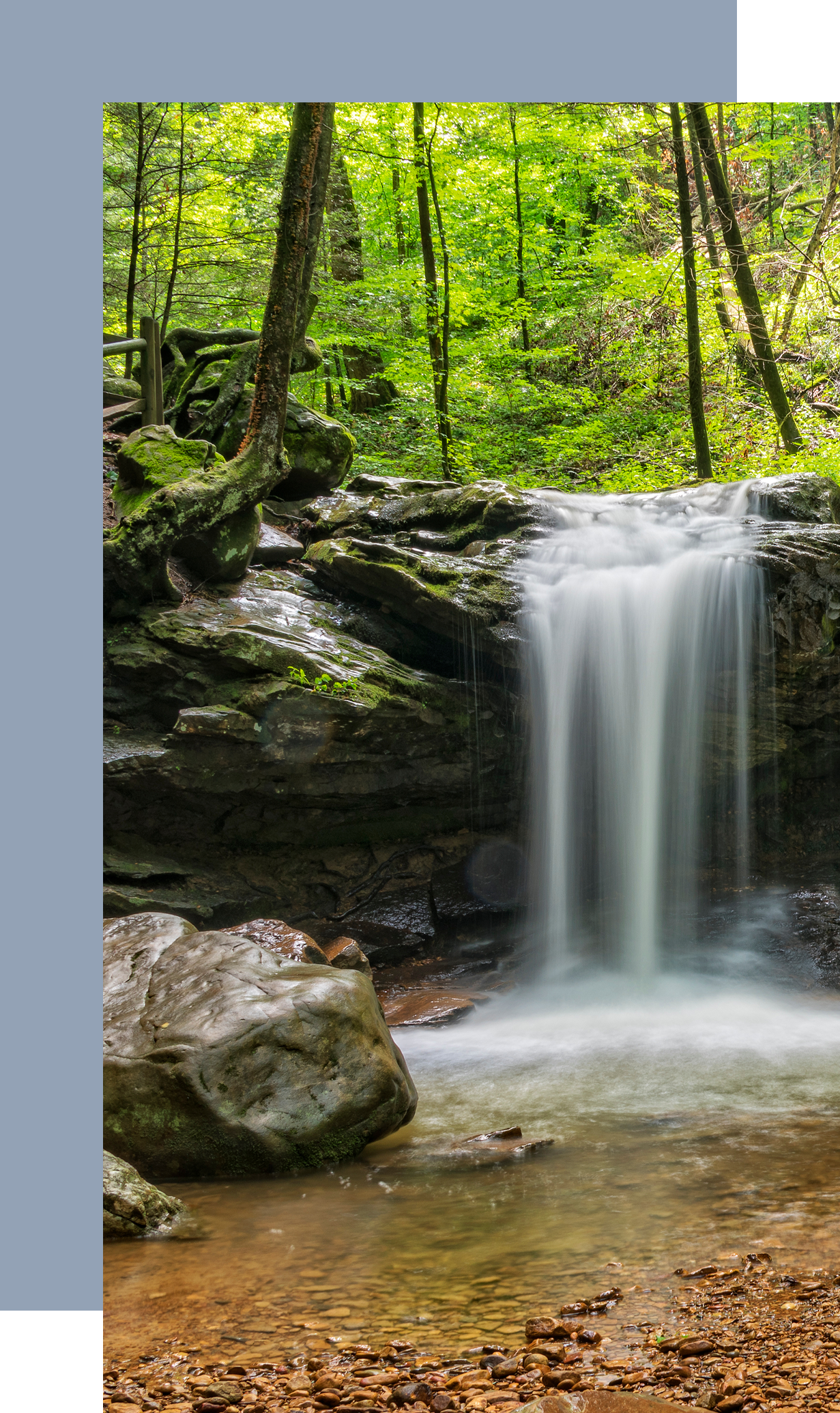 Morgan-County-Tennessee-Community