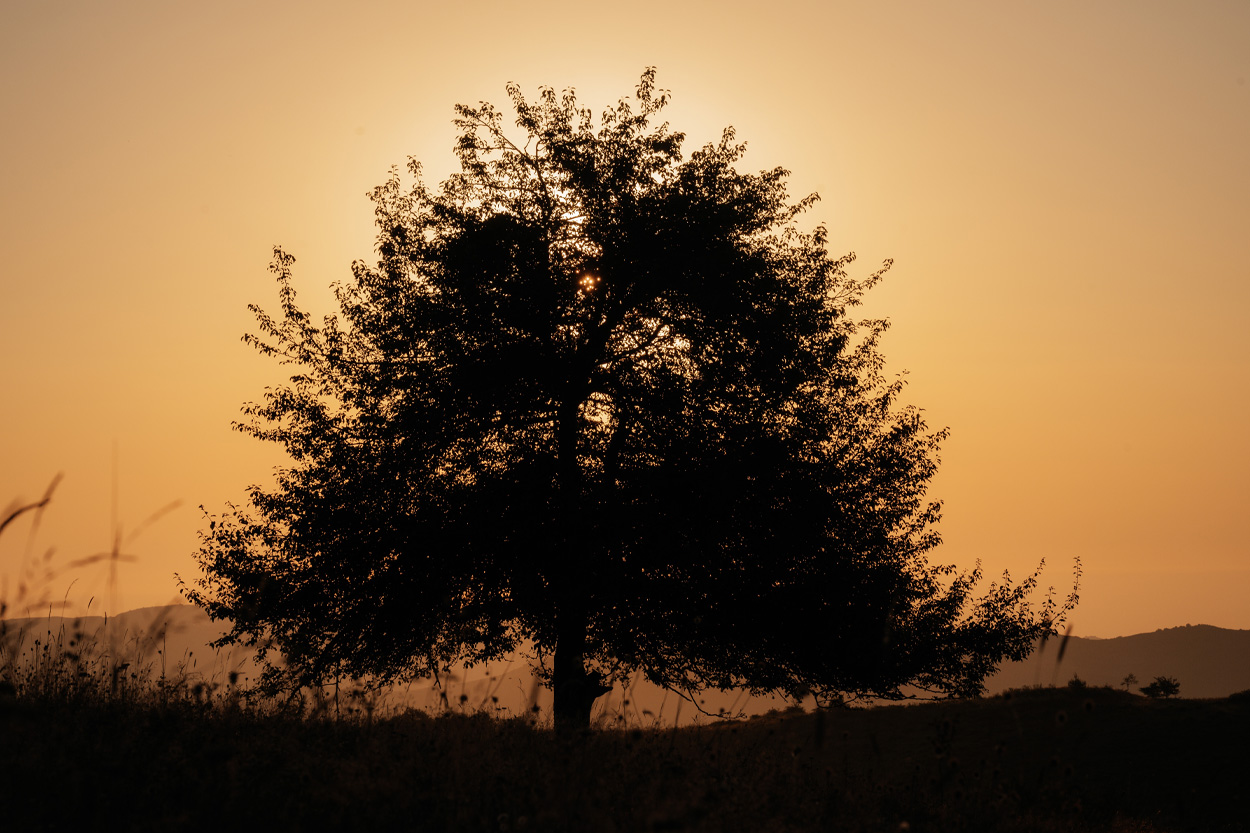 Renegade-Mountain-TN