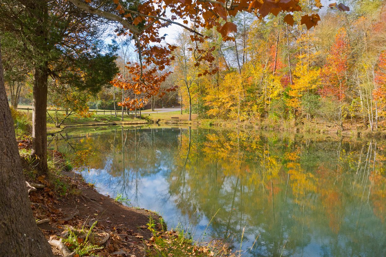 Union-County-Tennessee
